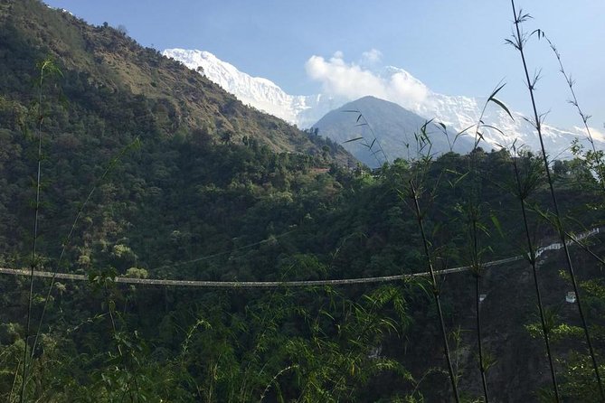 Poon Hill Circuit With Hot Spring Trek From Pokhara - Day 3: Ghorepani - Poon Hill (3210 Meters) - Tadapani (2630 Meters)