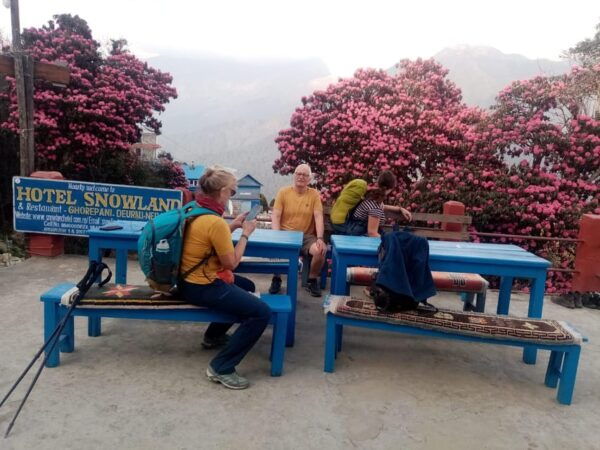 Poon Hill in Three Days: a Perfect Short Trek From Pokhara - Essential Packing List