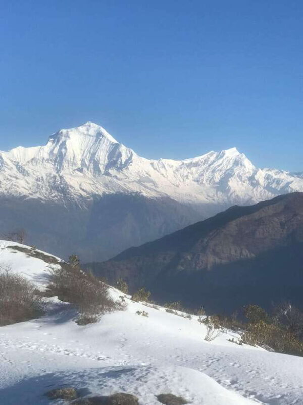 Poon hill Trek 1 Night 2 Days - Introduction to the Trek Experience