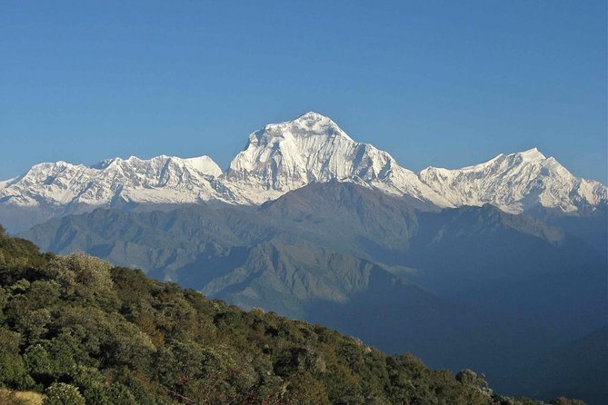 Poon Hill Trek - Accommodation Options