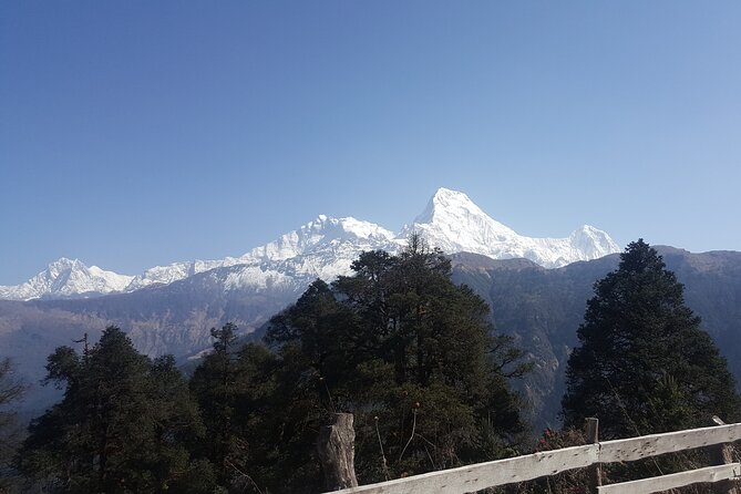 Poon Hill Trek 3 Days - Tips for a Successful Trek