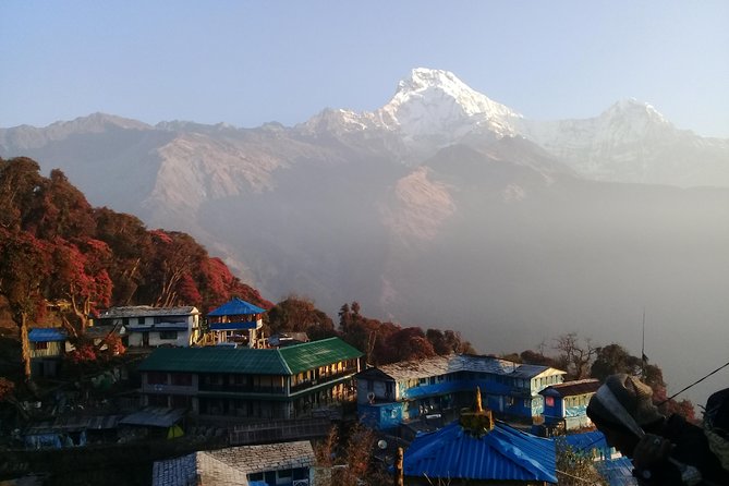 Poon Hill Trek - 4 Days / 3 Nights (Ex Pokhara) - Common Questions