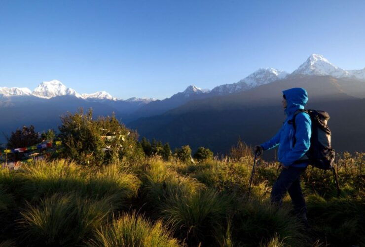 Poon Hill Trek From Pokhara an Enchanting Himalayan Adventur - Experience Highlights of the Journey