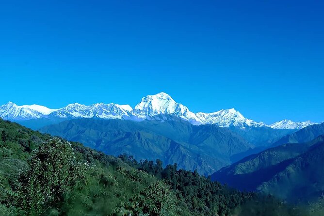 Poon Hill Trek - Short & Easy Trek in the Himalayas - Trekking Difficulty and Duration