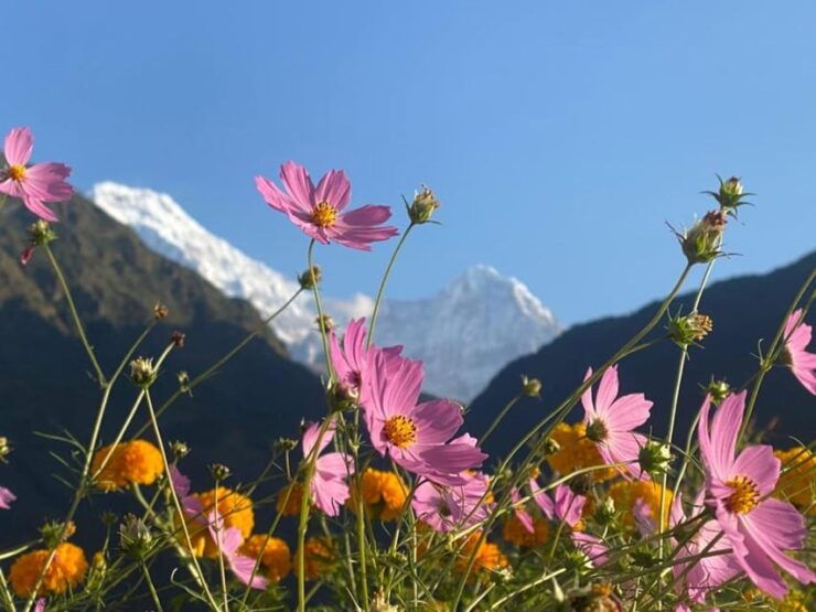 Poon Hill Trekking 3 Days From Pokhara - Daily Itinerary Breakdown