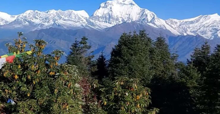Poon Hill Trekking- 5 Days - Key Points