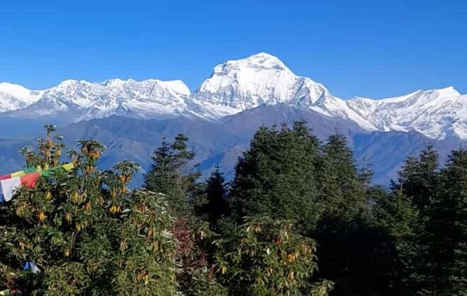 Poon Hill Trekking- 5 Days - Booking and Cancellation Policy