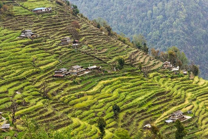 Poon Hill Trekking- a Day to Explore Nepal in a Short Time - Tips for a Successful Trek