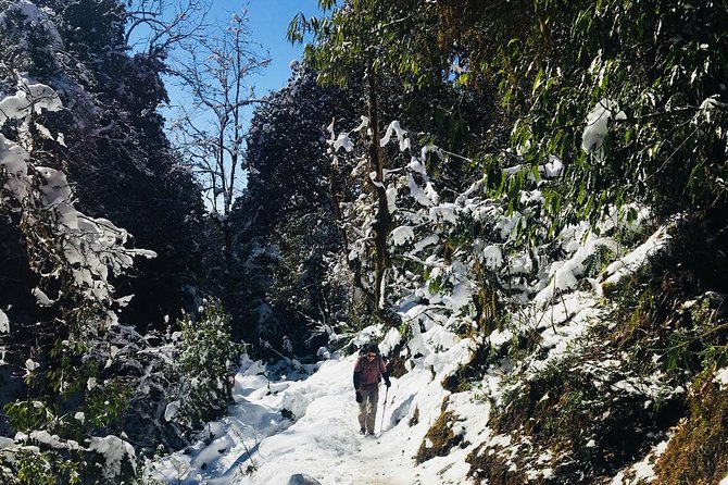 Poonhill Trek Fixed Departure (March 14, Oct 14,Nov 14 ) - Traveler Photos and Reviews