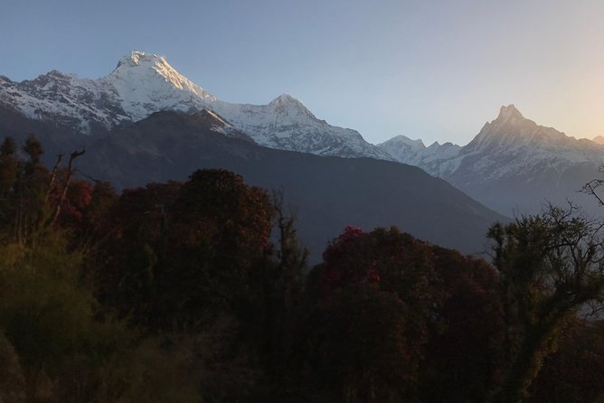 Poonhill Trek Fixed Departure (March 14, Oct 14,Nov 14 ) - March 14, 2023 Departure