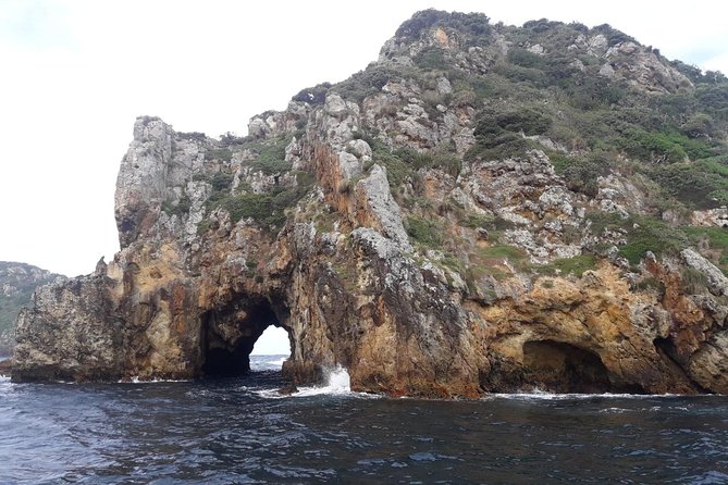 Poor Knights Small Group Tour & Cruise From Auckland - Cancellation Policy