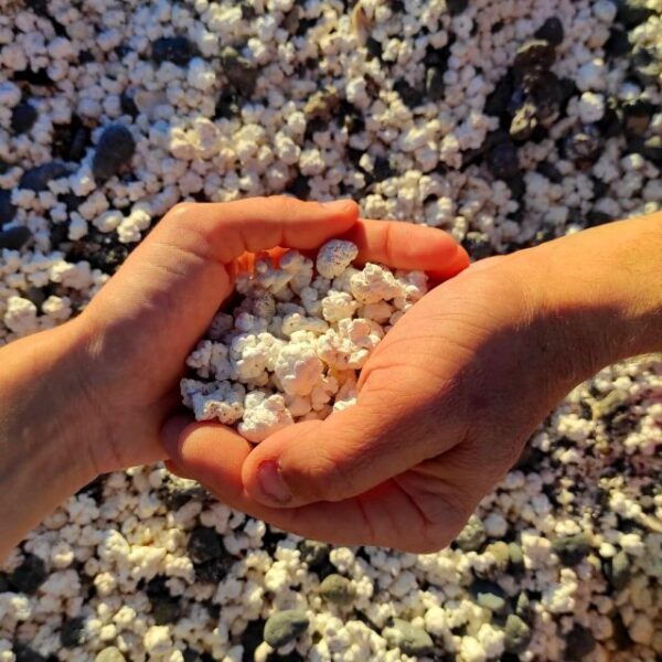 POP CORN BEACH, LOBOS ISLAND and SAND DUNES in ONE DAY TOUR - Booking Directions