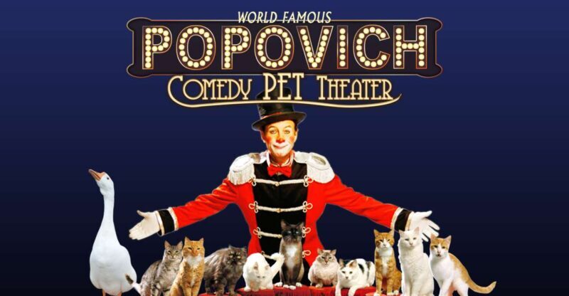 Popovich Comedy Pet Theater in Las Vegas - A Fun and Family-Friendly Show in Las Vegas: Popovich Comedy Pet Theater