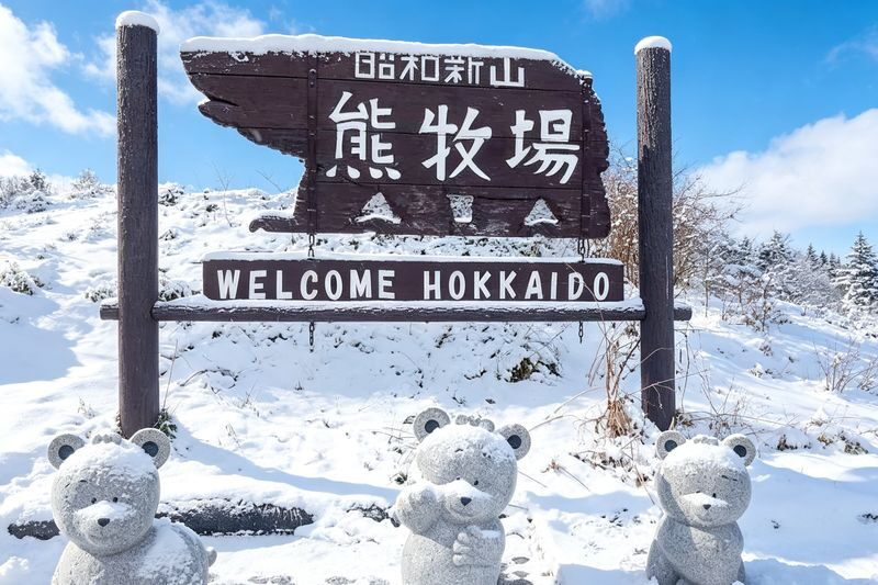 Popular Noboribetsu Must-Visit Day Tour in Hokkaido: Lake Toya & Showa-shinzan & Hell Valley & Lake Shikotsu Illumination (Optional Snowmobile Experience, Multiple Routes Available) - Hell Valley: the volcanic reason to visit Noboribetsu