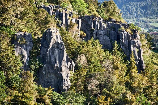 *Popular Tour* - Bay of Islands: Nature Adventure - 4hrs - Detailed Review of the Bay of Islands Nature Adventure