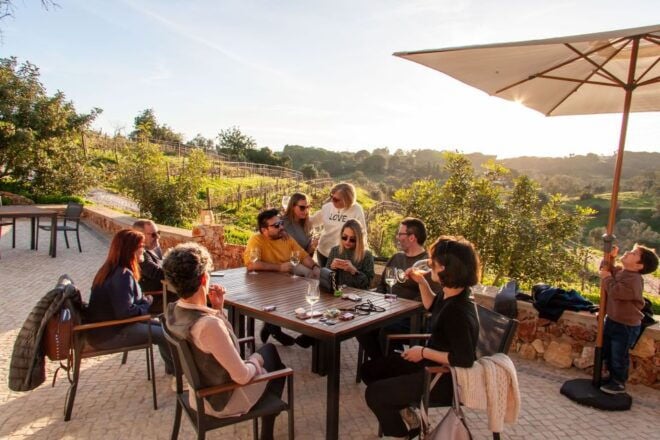 Porches: Algarve Vineyard Tour and Wine Tasting Experience - Important Information