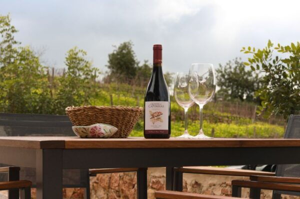 Porches: Algarve Vineyard Tour and Wine Tasting Experience - Tips for a Memorable Experience