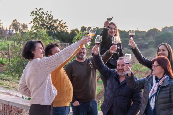 Porches: Algarve Vineyard Tour and Wine Tasting Experience - Common Questions