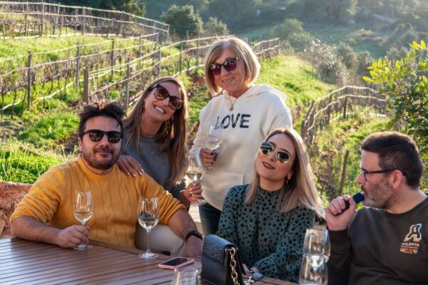 Porches: Algarve Vineyard Tour and Wine Tasting Experience - The Sum Up