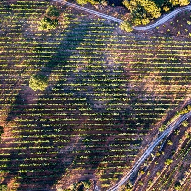 Porches: Exclusive Wine Tasting Experience - Activity Information