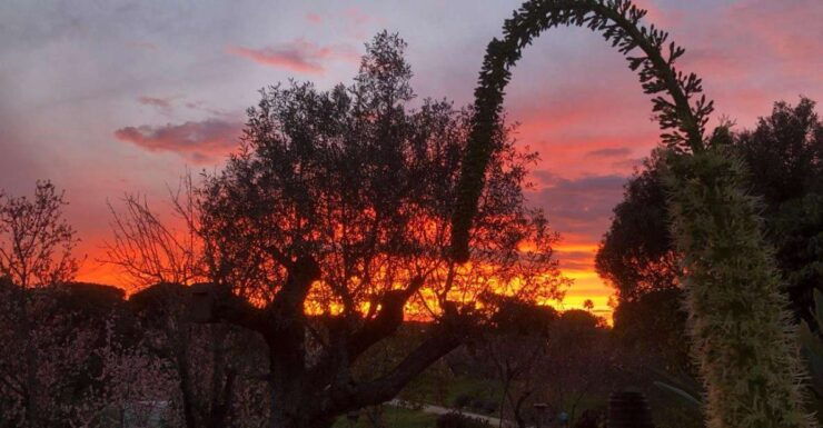 Porches: Sunset Wine Tasting With BBQ - Event Overview