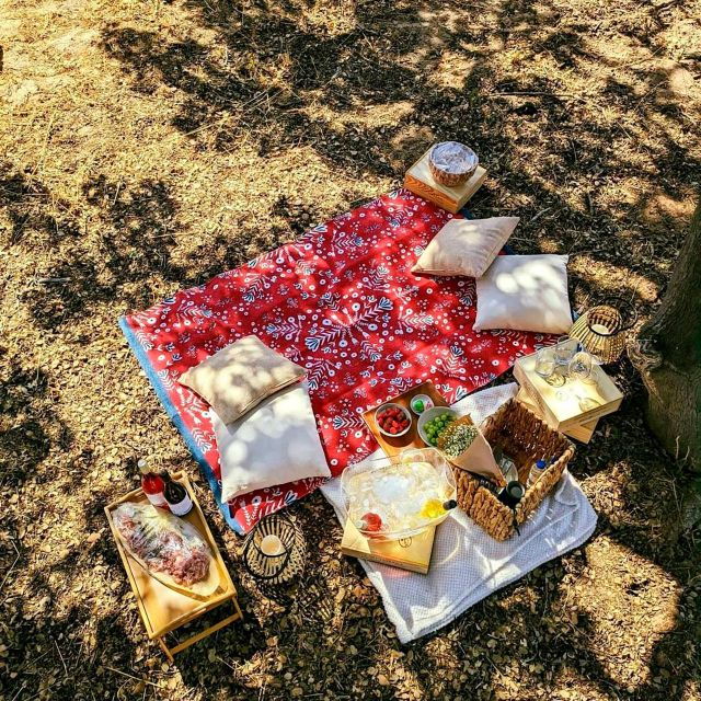Porches: Vineyard Picnic Experience in the Algarve - Experience Highlights