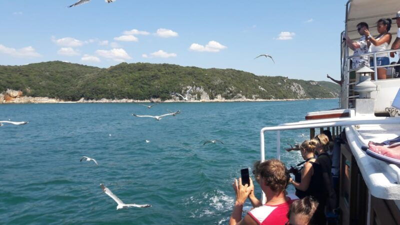 Pore: Boat tour to Rovinj with lunch and drinks - Good To Know