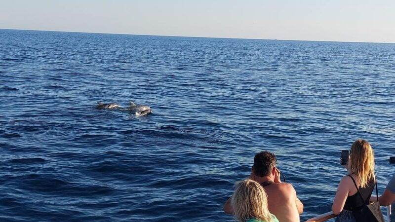 Pore: Sunset Dolphin Safari with Dinner and Drinks - Good To Know