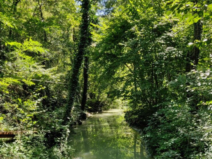 Poreč, Buzet: Bike & Hike Tour With Istrian Delicacies - Itinerary Details