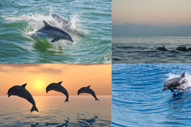 Poreč Private Watersports Excursion: An Adventure on the Waves - Meeting and Pickup Information