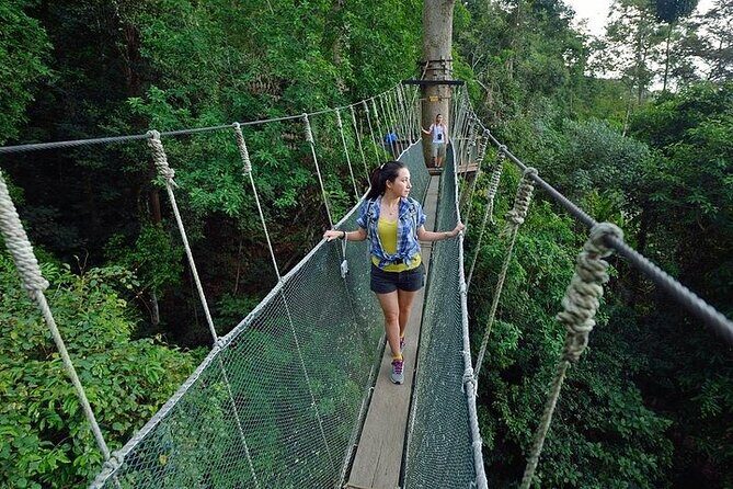 Poring Hot Springs Tour from Kota Kinabalu including Treetop Canopy Walk - Good To Know