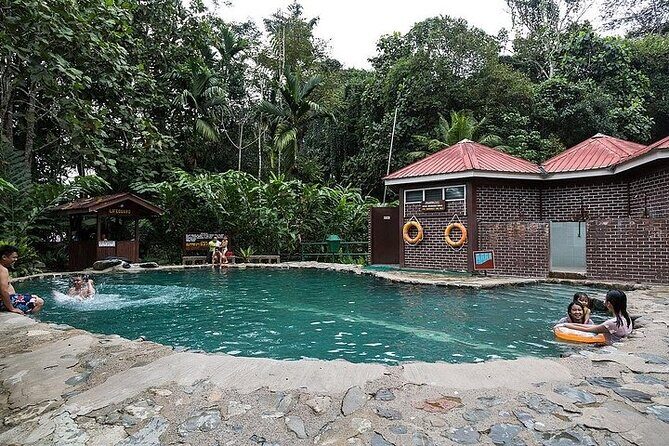 Poring Hot Springs Tour from Kota Kinabalu including Treetop Canopy Walk - The Sum Up