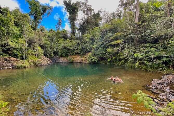 Pork Highway and Rainforest Excursion with transport - Final Thoughts