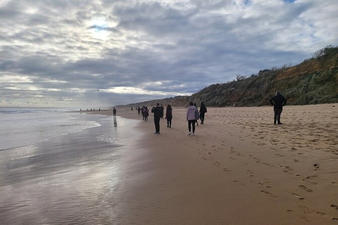 Porsche Luxury Private Tours in Phillip Island Tourist Spots - Pricing and Booking Information