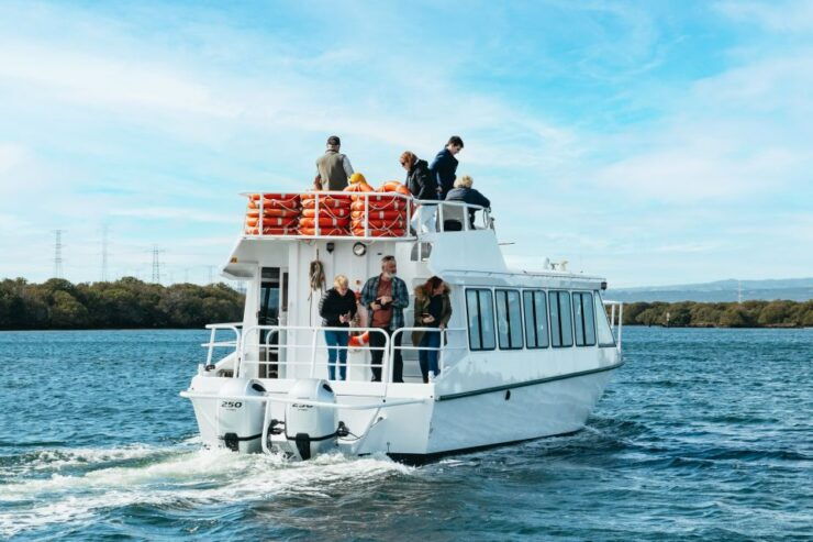 Port Adelaide: Dolphin and Ships Graveyard Cruise - Experience Highlights