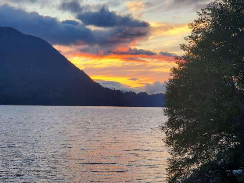 Port Alice: Sea Otter and Wildlife Watching Boat Tour - Final Thoughts