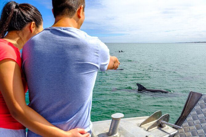 Port and Dolphin Cruise Bunbury Tour - What to Expect from the Port and Dolphin Cruise Bunbury Tour