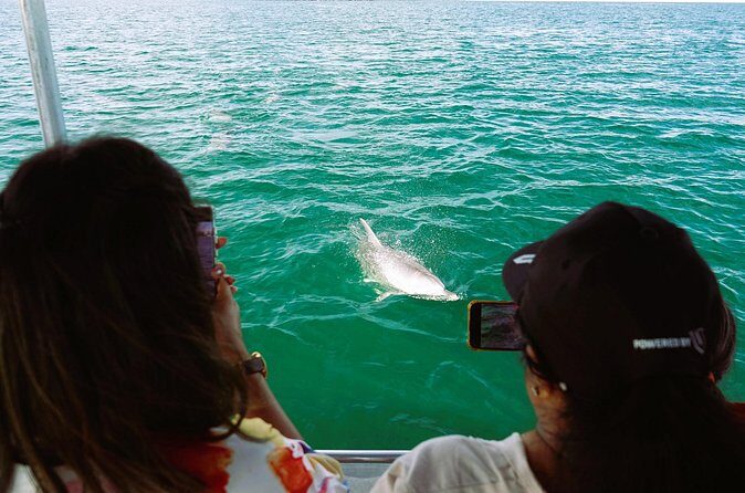 Port and Dolphin Cruise Bunbury Tour - Who Is This Tour Best Suited For?