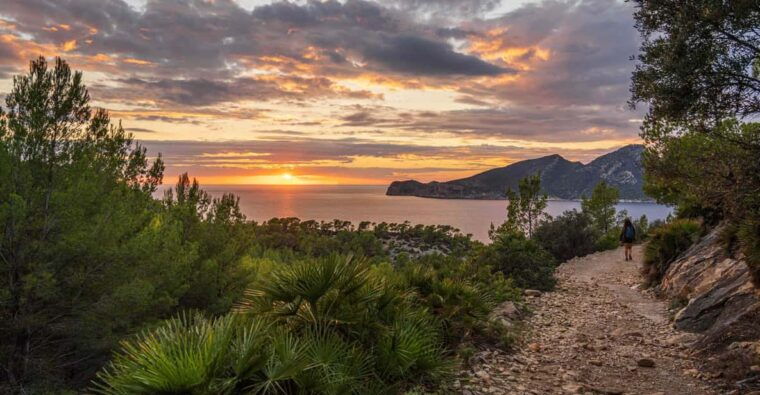 Port Andratx: Hiking Tour Into the Sunset to Sant Elm - Highlights of the Route