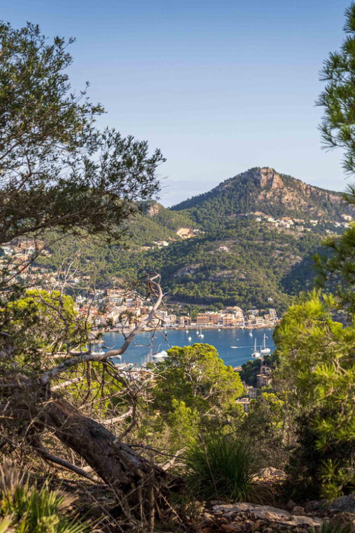 Port Andratx: Hiking Tour Into the Sunset to Sant Elm - Experiencing the Guided Hiking Adventure