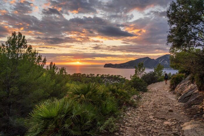 Port Andratx: Hiking Tour Into the Sunset to Sant Elm - Indulging in the Picnic With Majorcan Tapas and Drinks