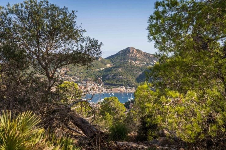 Port Andratx: Hiking Tour Into the Sunset to Sant Elm - Tour Overview