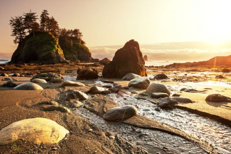 Port Angeles: Olympic National Park Driving Audio Tour - Tour Overview