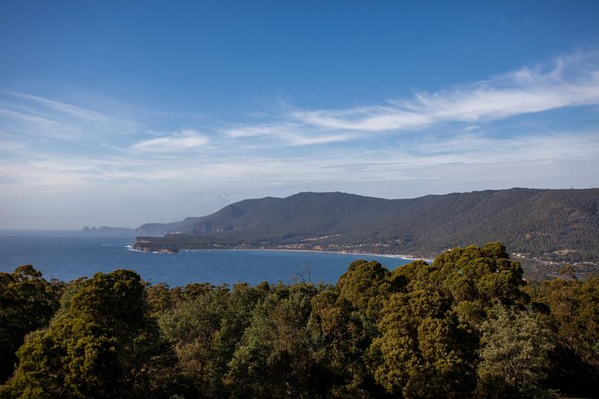 Port Arthur and Tassie Devils Active Day Tour From Hobart - Richmond and Port Arthur Harbor Cruise