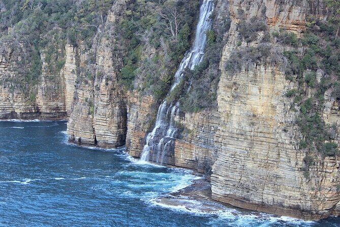 Port Arthur Day Tour from Hobart with Scenic Harbour Cruise - Who Would Love This Tour?