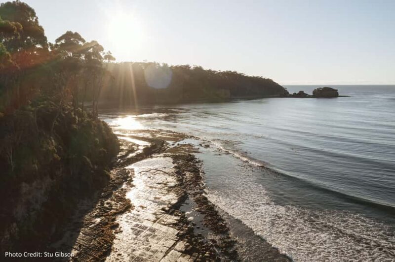 Port Arthur: Historic Site & Peninsula (8hr Private Tour) - Why This Tour Appeals to Travelers