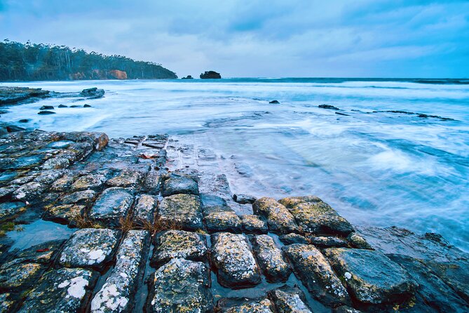 Port Arthur, Richmond and Tasman Peninsula Day Tour - Scenic Locales in Tasman National Park