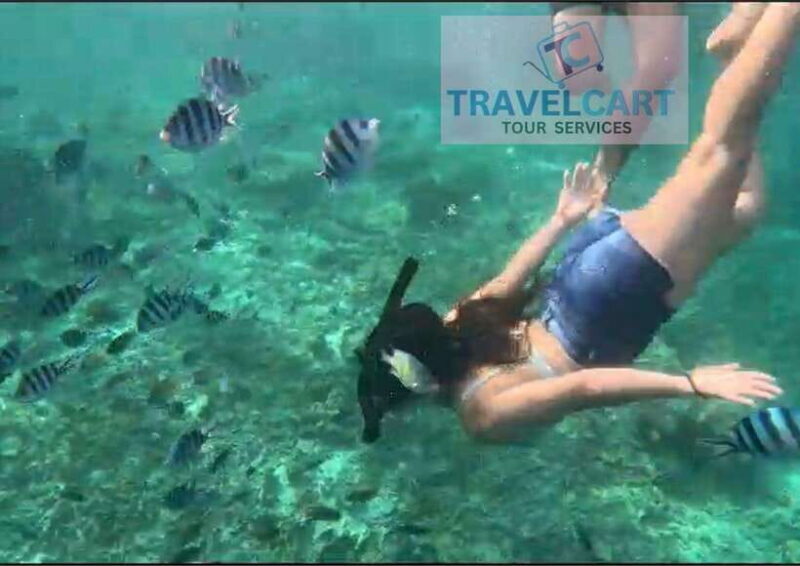 Port Barton Day Tour - Pricing & Value