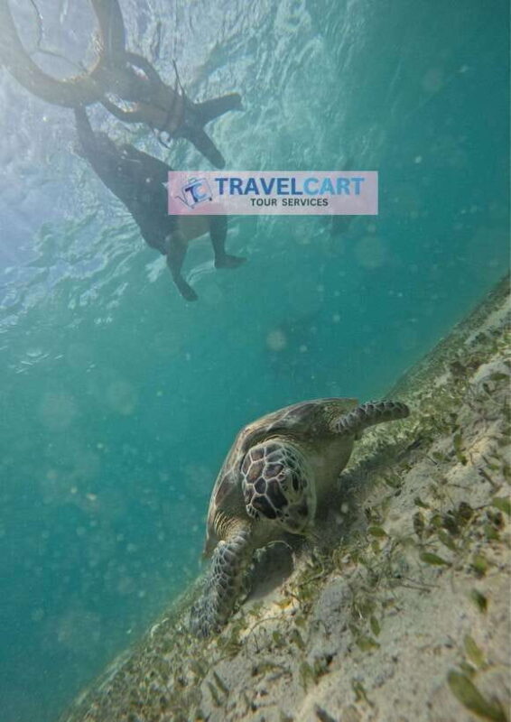 Port Barton Day Tour - FAQ