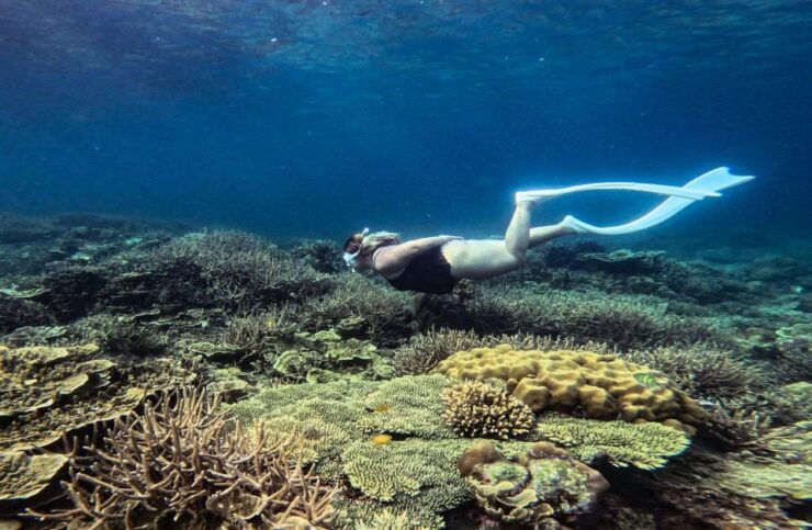 Port Barton Full Day Island Hopping W/ Island Lunch - Experience Highlights